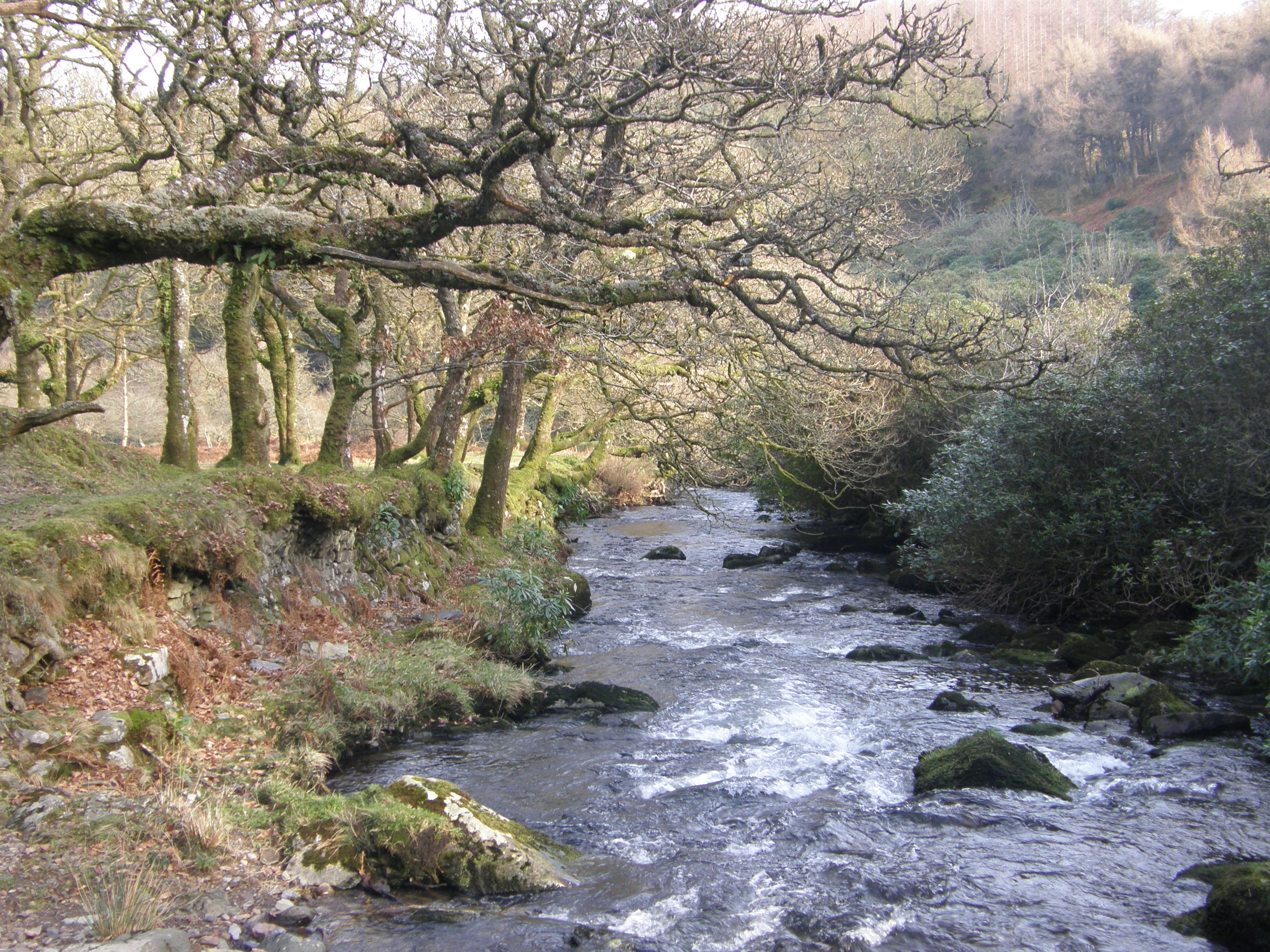 Badgeworthy Water , the Lorna Doone Valley