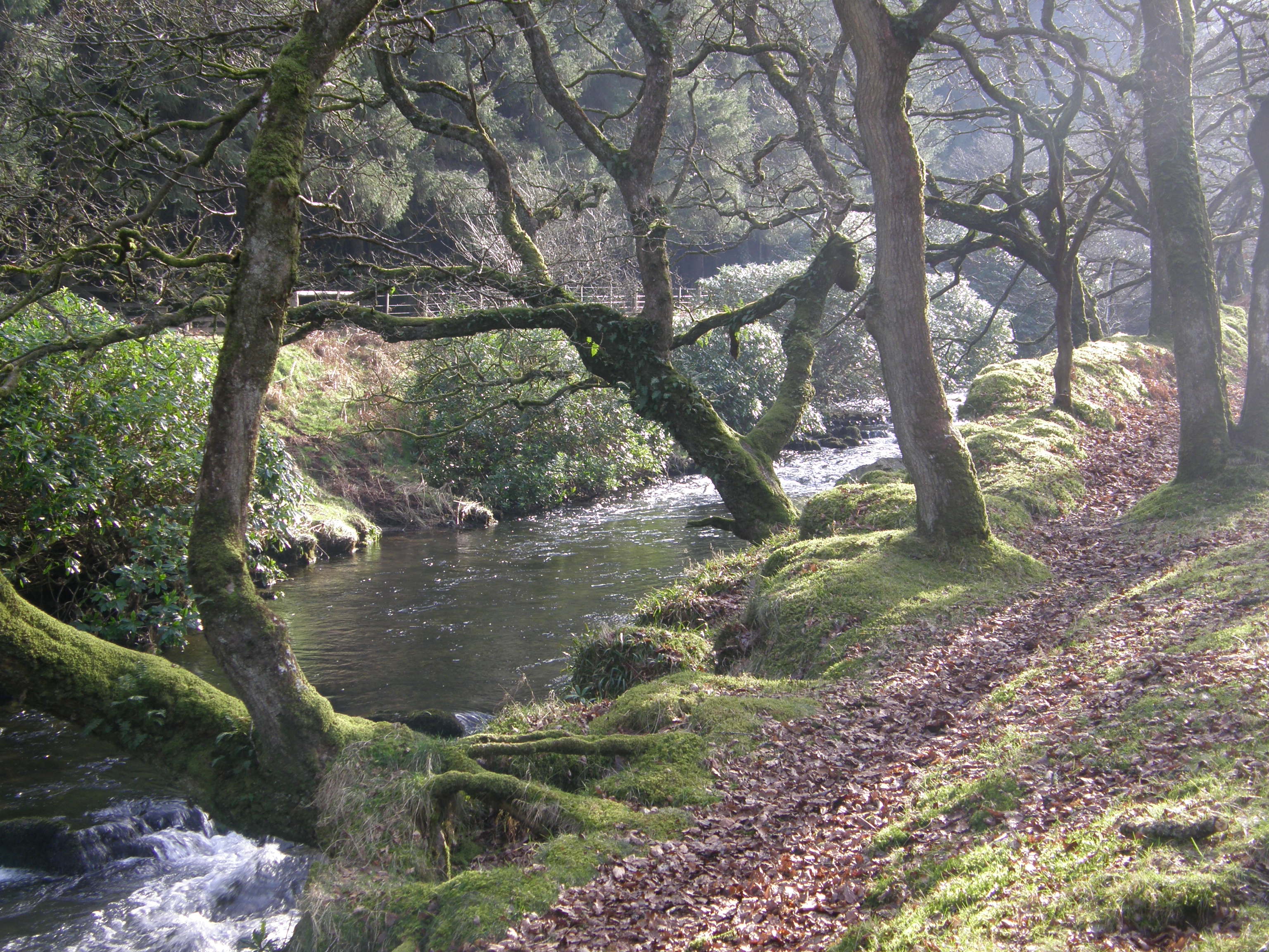 Badgeworthy Water , the Lorna Doone Valley