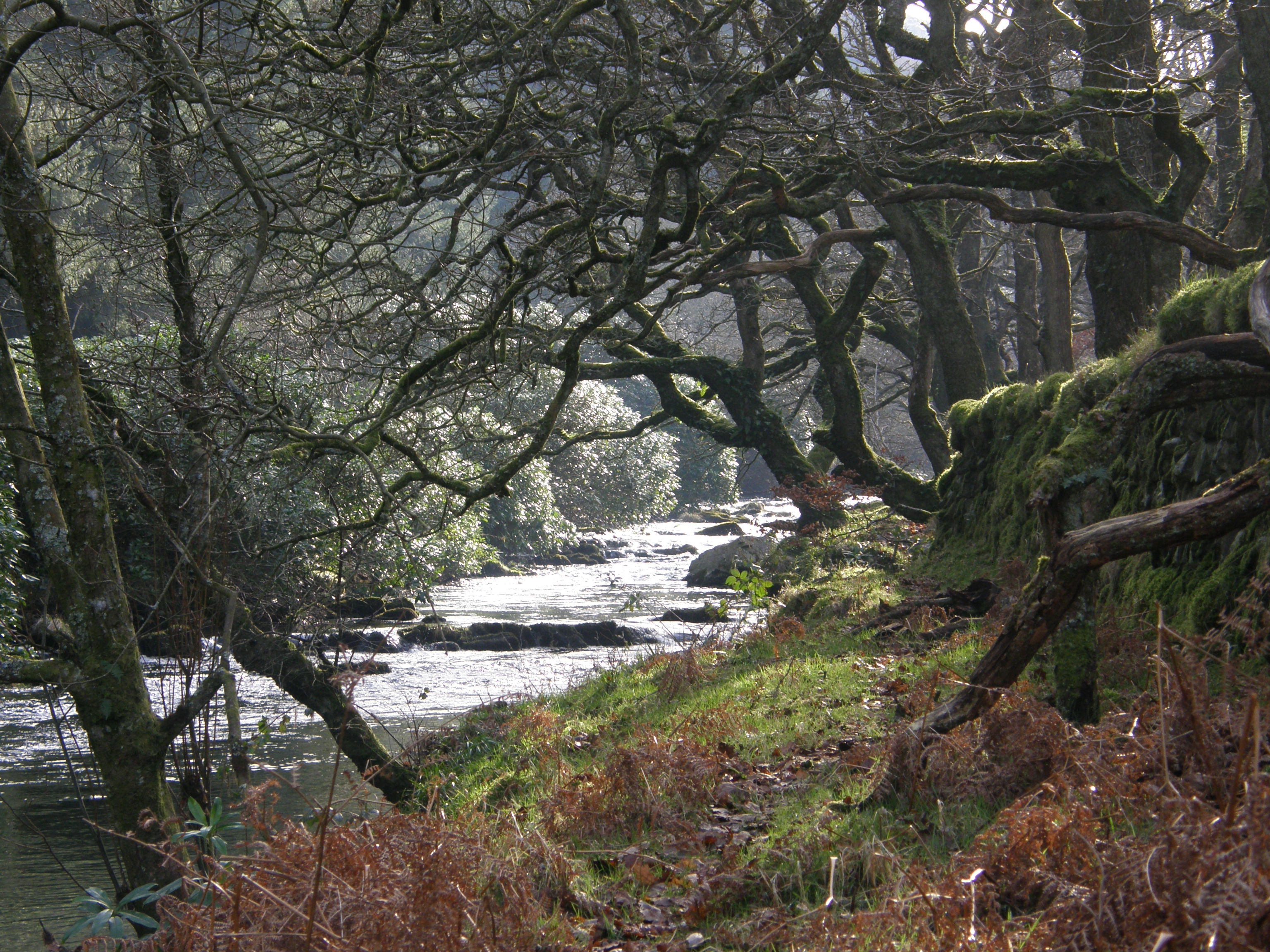 Badgeworthy Water , the Lorna Doone Valley