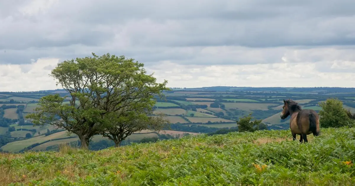 Woodcombe Lodges Exmoor