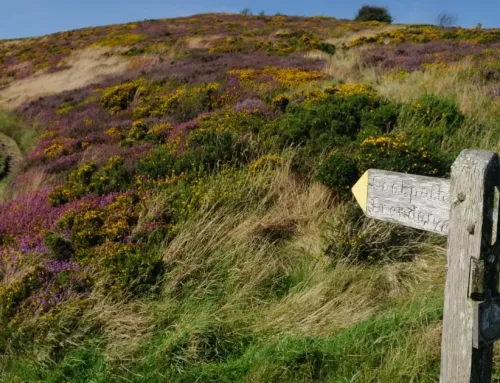 Spring and Easter Self Catering Breaks on Exmoor