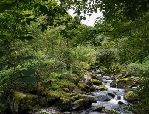 Special Offers and Late Availability for Exmoor breaks