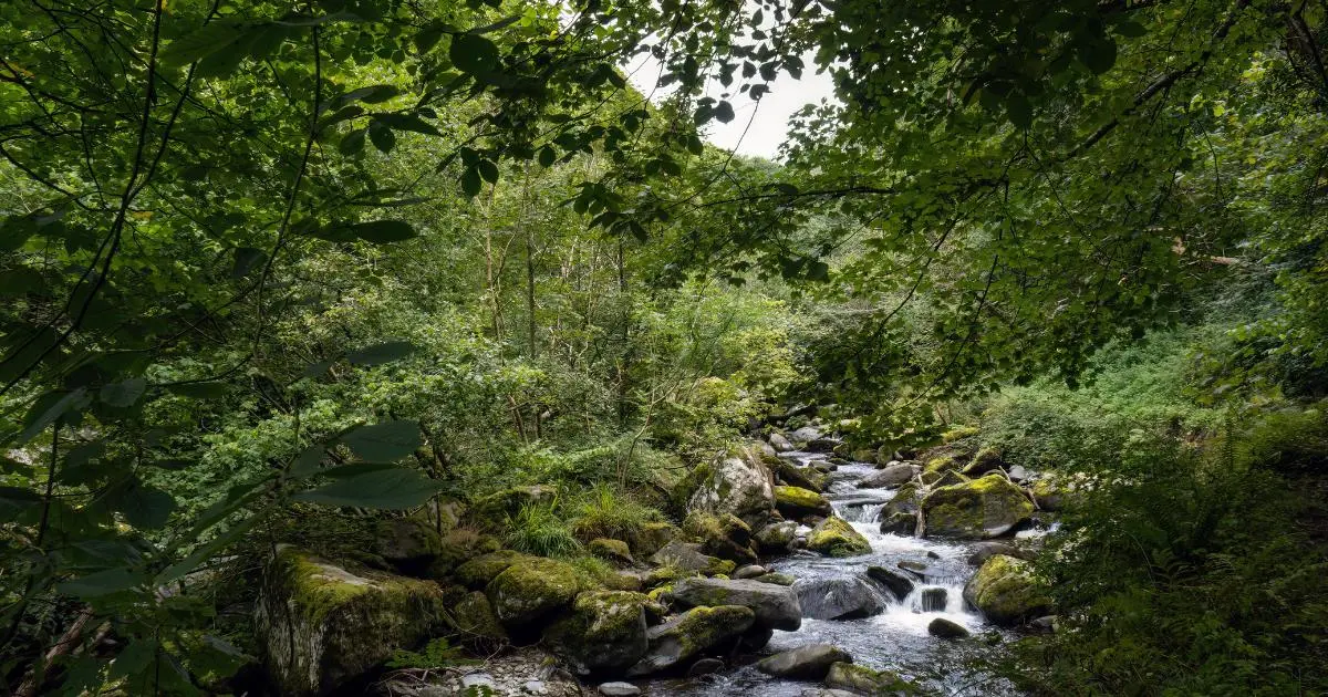 Special offers and late availability for great value Exmoor breaks