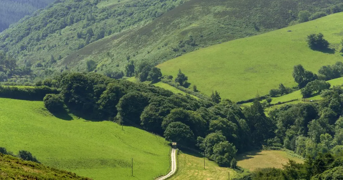 Wheelchair Accessible Self Catering Lodges on Exmoor