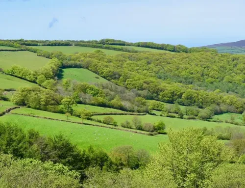 Disabled Friendly Holidays on Exmoor