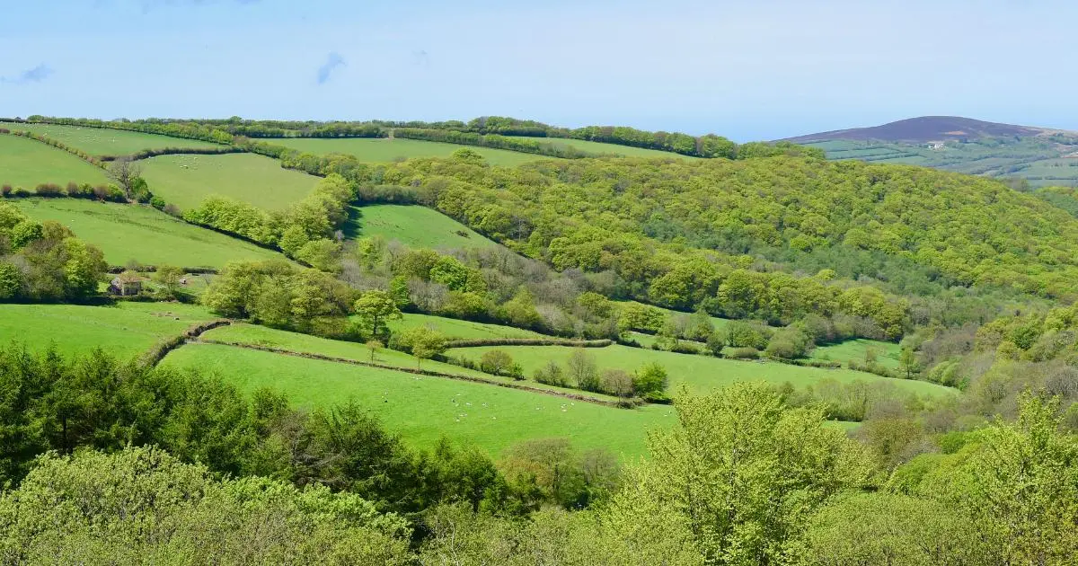 Disabled Friendly Holidays on Exmoor
