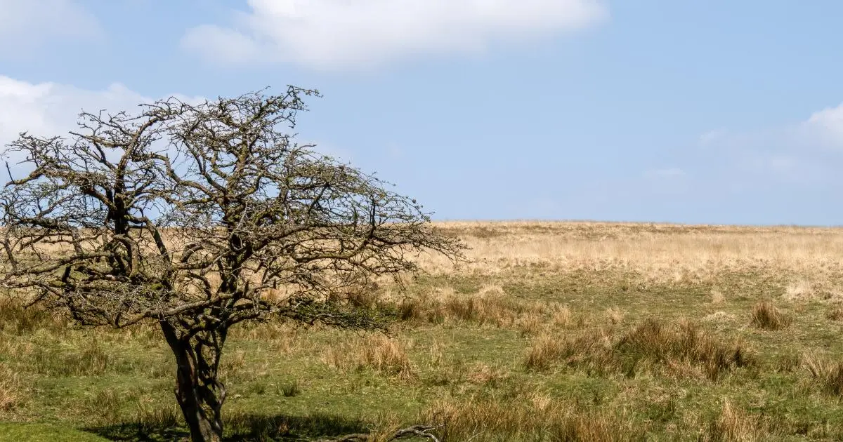 Steam Trains, Castles and Coast for Heritage Days Out